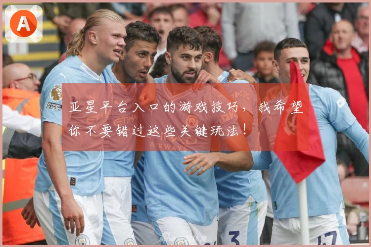 亚星平台入口的游戏技巧，我希望你不要错过这些关键玩法！