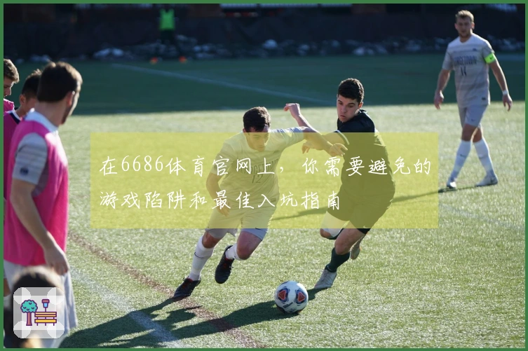 在6686体育官网上，你需要避免的游戏陷阱和最佳入坑指南