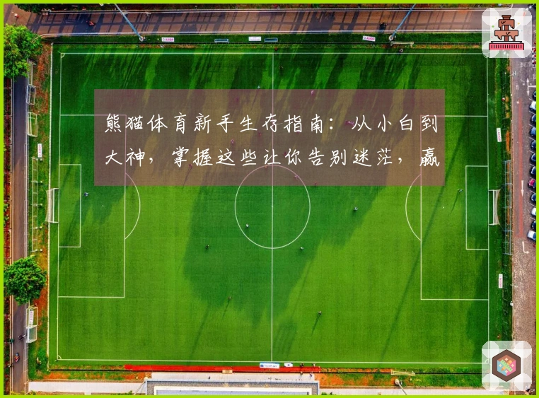 熊猫体育新手生存指南：从小白到大神，掌握这些让你告别迷茫，赢在起跑线